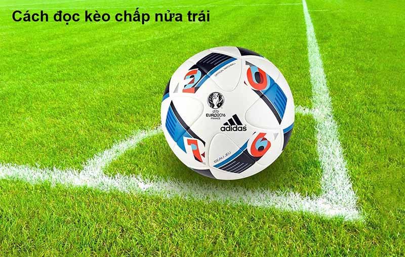 Kèo chấp 1/2 là gì? Hướng dẫn chơi kèo chấp 1/2 cho người mới 