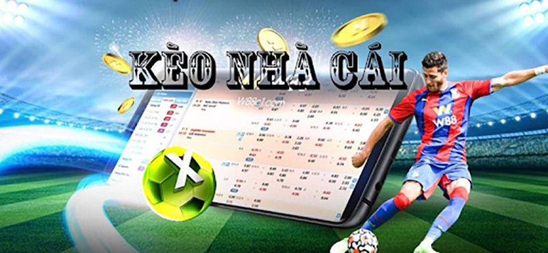 Kèo nhà cái là gì? Các loại kèo bóng đá phổ biến được bet thủ ưa chuộng 